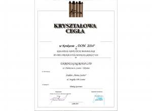 Award for the implemented project stadium "Arena Lviv"